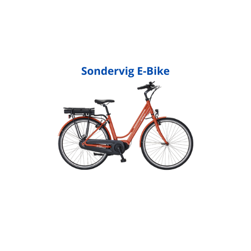 Fahrradverleih Sondervig Logo